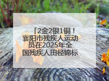 2金2银1铜！襄阳市残疾人运动员在2025年全国残疾人田径锦标赛获佳绩