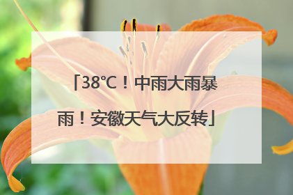 38℃！中雨大雨暴雨！安徽天气大反转