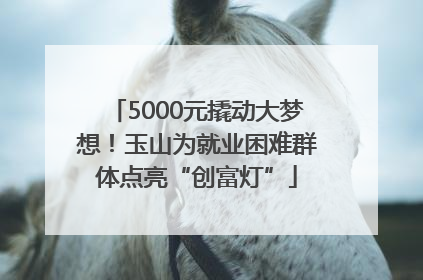 5000元撬动大梦想！玉山为就业困难群体点亮“创富灯”