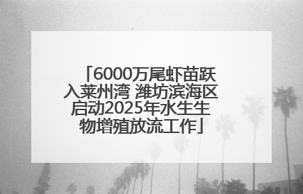6000万尾虾苗跃入莱州湾 潍坊滨海区启动2025年水生生物增殖放流工作