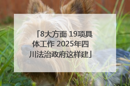 8大方面 19项具体工作 2025年四川法治政府这样建