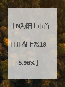 N海阳上市首日开盘上涨186.96%