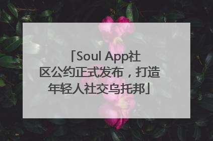 Soul App社区公约正式发布，打造年轻人社交乌托邦