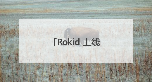 Rokid 上线全球第一个智能眼镜支付 内置支付宝